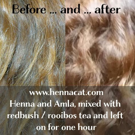 Henna and amla on hair from hennacat Blonde Henna, Henna For Hair, Brown Henna, Henna Hair, Hair Dyes, Dyed Natural Hair, Rooibos Tea, Dark Blonde Hair, Dark Blonde