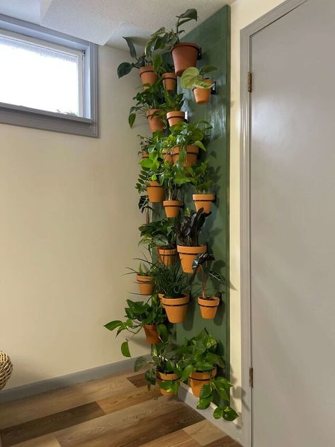 Plant Wall Diy, Living Wall Indoor, Pots Plants, Inch Plant, Indoor Plant Wall, Wall Plant Hanger, Support Pour Plante, Plant Wall Decor, Hanging Plant Wall