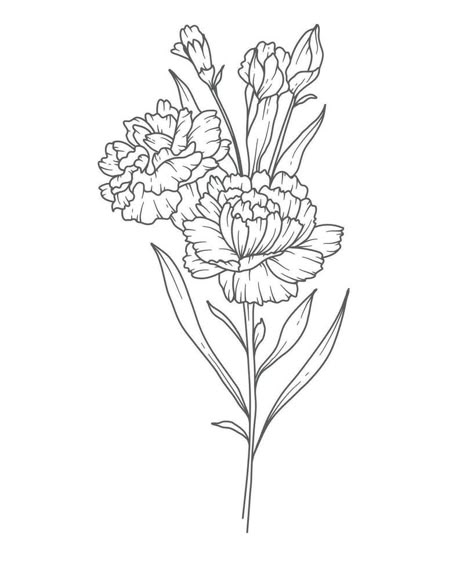 Simple Carnation Tattoo Design, Fine Line Carnation, Carnation Flower Outline, Carnation Line Art, Carnation Outline, Carnation Flower Drawing, Carnation Drawing, January Birth Month Flower, Line Art Botanical