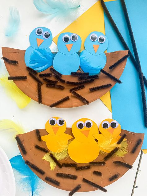 19 EASY Bird Crafts for Kids (2023) - ABCDee Learning Bird Crafts For Kids, Bird Crafts Preschool, Crafts 2024, Bird Nest Craft, Nest Art, Easy Bird, Animal Craft, Vbs 2024, Popular Crafts