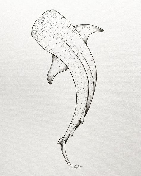 Small Shark Drawing, Box Fish Tattoo, Marine Animals Tattoo, Whale Shark Tattoo Design, Ocean Themed Tattoos, Whale Shark Drawing, Theme Tattoos, Ocean Theme Tattoos, Whale Shark Tattoo