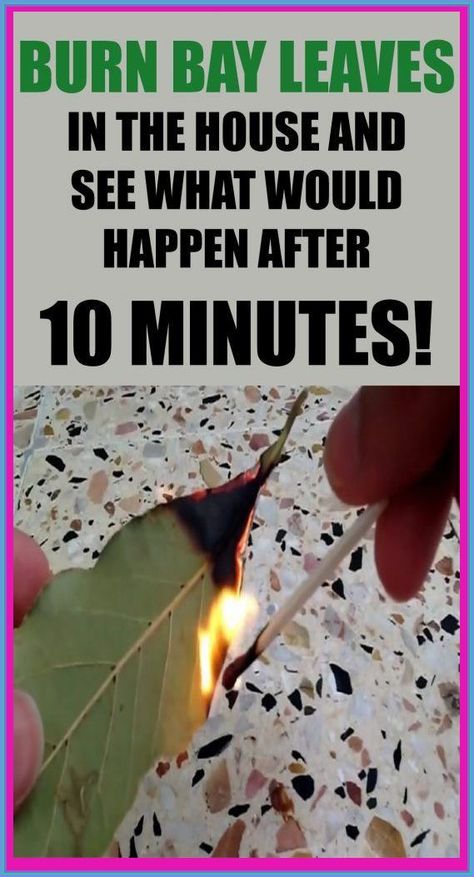 Burn Bay Leaves In The House And See What Would Happen After 10 Minutes! Burn Bay Leaves, Bay Laurel Tree, Burning Bay Leaves, Bay Laurel, Laurel Tree, Laurus Nobilis, Dancer Workout, Bay Leaf, Diy Hair Care