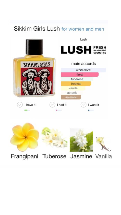 Lush Perfume, Essential Oil Perfumes Recipes, Perfume Recipes, Vanilla Perfume, Handmade Cosmetics, Perfume Scents, Perfume Lover, Essential Oil Perfume, Smell Good