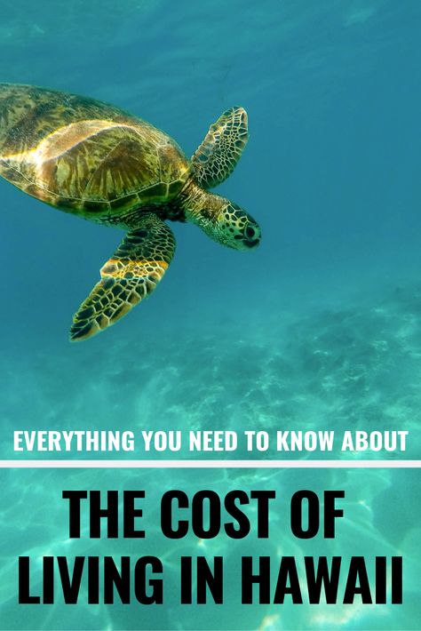 How Much Does It Cost To Live In Hawaii? - Average Cost of Living In Hawaii - What Is The Cost Of Living In Hawaii - Price Of Living In Hawaii - Living Expenses Hawaii - Hawaii Cost Of Living - Budget For Hawaii - Communikait by Kait Hanson #hawaii #oahu #budget #finances #military #costoflivinginhawaii Hawaii On A Budget, Living In Hawaii, I Know A Place, Moving To Hawaii, Honeymoon Vacations, Go Swimming, Hawaii Honeymoon, Hawaiian Vacation, Hawaii Life