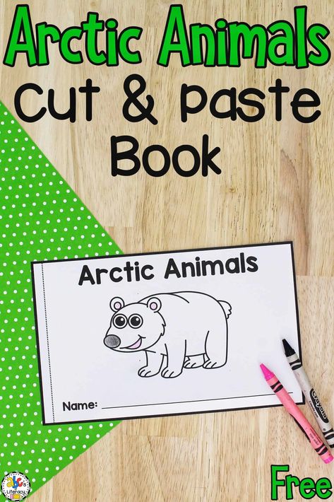 Arctic Animal Books Preschool, Artic Animals Activities Toddler, Artic Animal Art For Toddlers, Polar Animals Kindergarten, Winter Animal Theme Preschool, Artic Animals Fine Motor Activities, Artic Animal Lessons For Preschool, Arctic Animal Activities For Preschool, Arctic Activities For Kids