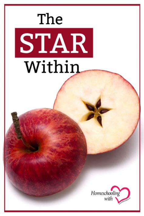 Learn about Johnny Appleseed while you  serve apple slices for your snack. If you cut the apple across the middle (left to right instead of top to bottom), there is a surprise! God hid a star in the middle of every apple! #Homeschooling #HomeschoolIdeas #HomeschooledKids #JohnnyAppleseed Apple Devotional, Apple Snacks For Johnny Appleseed Day, Johnny Appleseed Day, Homeschool Reading Curriculum, Apple Star, Kids Night Out, Poems About Stars, Harvest Crafts, Apple Lessons