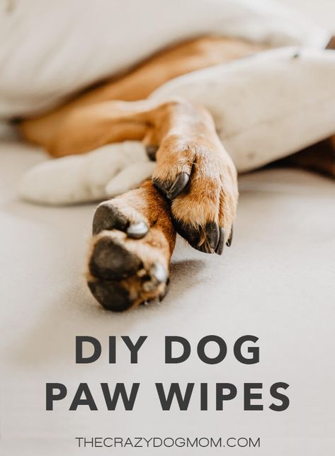 When dogs are walking around they're actually absorbing a ton of chemicals through their paws whether it's the chemicals someone sprayed on their lawn, sidewalk salt during the winter, or the chemicals in the cleaning products you use in your home. This DIY dog paw wipes recipe can be used to make wipes or just leave it as a spray and spray onto a clean washcloth. Dog Mom Humor, Dog Wipes, Dog Balm, Wipes Diy, Dog Mom Quotes, Stinky Dog, Pet Wipes, Paw Cleaner, Puppy Paws