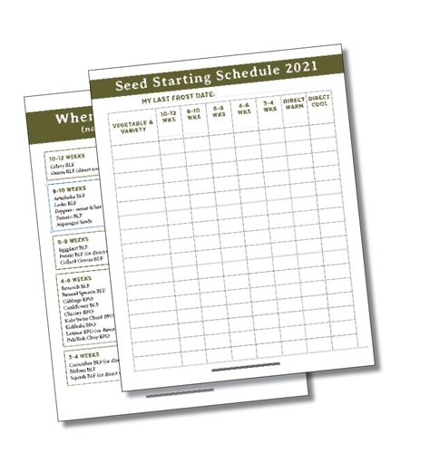 Seed Planting Calendar, Seed Starting Chart, Seed Starting Schedule, Seed Organization, Seed Starting Calendar, Planting Calendar, Vegetable Garden For Beginners, Vegetable Garden Diy, Schedule Printable