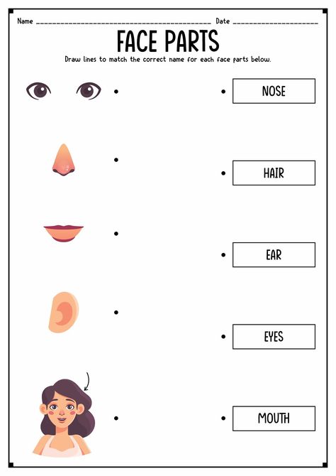 My Face Worksheet For Kids, Body Parts For Kids Worksheets, Face Activities For Kids, Parts Of The Face Activities For Kids, My Face Activities For Preschool, Face Parts Worksheet, Face Parts For Kids, Human Body Activities For Kids, Emotions Facial Expressions