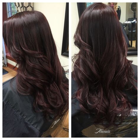 Amethyst Brown Hair Color, Violet Based Brown Hair, Dark Plum Highlights On Dark Hair, Dark Aubergine Hair, Black Burgundy Hair Color, Black Wine Hair, Dark Mahogany Balayage, Deep Eggplant Hair Color, Dark Red Chocolate Hair