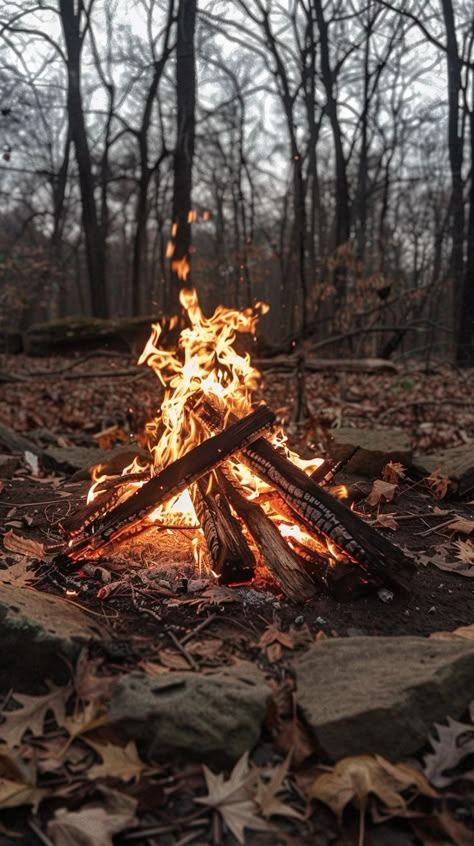 How to make a campfire: Stack the logs like tik tac toe, then place this fire starter i linked below them. Light it, and ta da! You've got a fire. This way makes the logs much more breathable! Camping Fire Aesthetic, Natural Wood Fireplace, Fire In The Woods, Van Life Aesthetic, Fire Camp, Camp Fires, Log Fire, Fire Wood, Log Fires