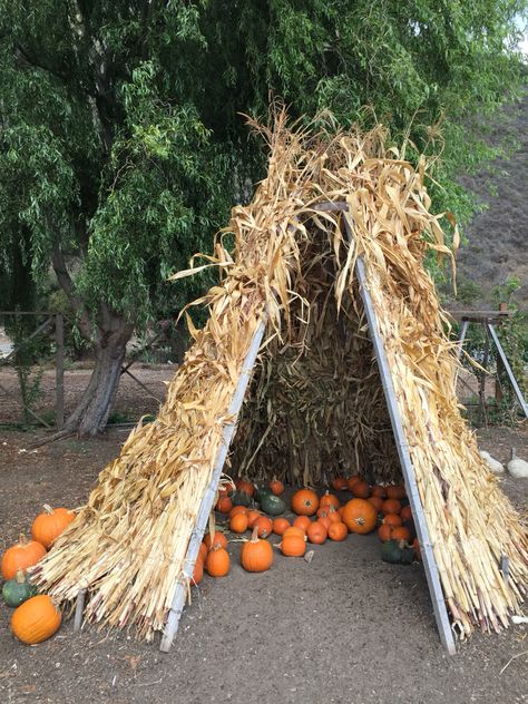 Corn husk teepee #pumpkinpatch 📷by: JCho Pumpkin Patch Ideas Diy, Halloween Teepee, Patch Ideas Diy, Homeade Halloween Costumes, Corn Stalk Decor, Pumpkin Board, Hay Maze, Harvest Ideas, Pumpkin Patch Farm