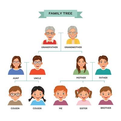 Diagram showing three generation family tree 2861297 Vector Art at Vecteezy Family Tree Clipart, My Family Tree, Tree Clipart, Family Tree, My Family, Vector Art, Vector Free, For Free, Art