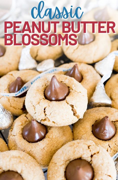 Classic Peanut Butter Hershey Kiss Cookies Peanut Butter Hershey Kiss Cookies, Kisses Cookies, Peanut Butter Blossoms Recipe, Hersey Kisses, Hershey Kiss Cookies, Peanut Butter Kiss, Peanut Butter Kiss Cookies, Peanut Butter Blossom Cookies, Blossom Cookies