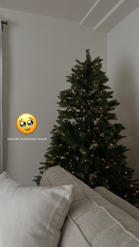 Christmas Decor Instagram Story, December 1st Instagram Story, Hello December Instagram Story, Xmas Story Instagram, Christmas Tree Ig Story, Christmas Insta Post Ideas, Xmas Instagram Stories, Christmas Tree Captions For Instagram, Christmas Tree Instagram Story