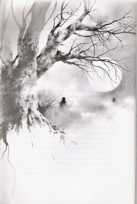 The Walk - From the book "Scary Stories To Tell In The Dark". Written by Alvin Schwartz. Illustrations by Stephen Gammell. Scary Stories Book, Stephen Gammell, Scary Stories To Tell, Dark Books, Stories To Tell, Scary Art, Creepy Art, Scary Stories, Telling Stories