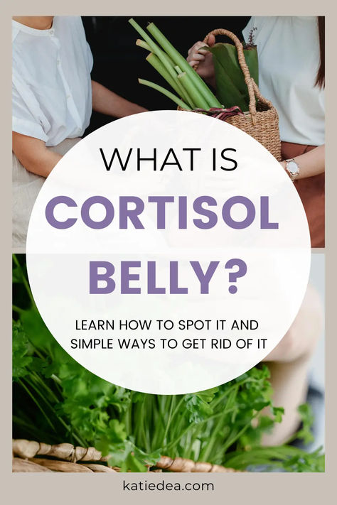 Have you noticed stubborn weight around your belly? It might be cortisol belly. This guide helps you identify cortisol belly and offers simple tips to reduce it. Discover a cortisol reduction diet and a detox plan to lower cortisol and inflammation. Find out how to lower cortisol levels naturally and reclaim control over your health. Don't let stress control you. Save this pin for later so you can refer back to it often! Herbs For Cortisol, Food For Cortisol, Lowering Cortisol Levels Naturally, Lower Cortisol Diet Plan, How To Lower High Cortisol, Cortisol Lowering Diet, Cortisol Detox Diet Plan Free, Best Diet Plan For Menopausal Women, Losing Weight With High Cortisol