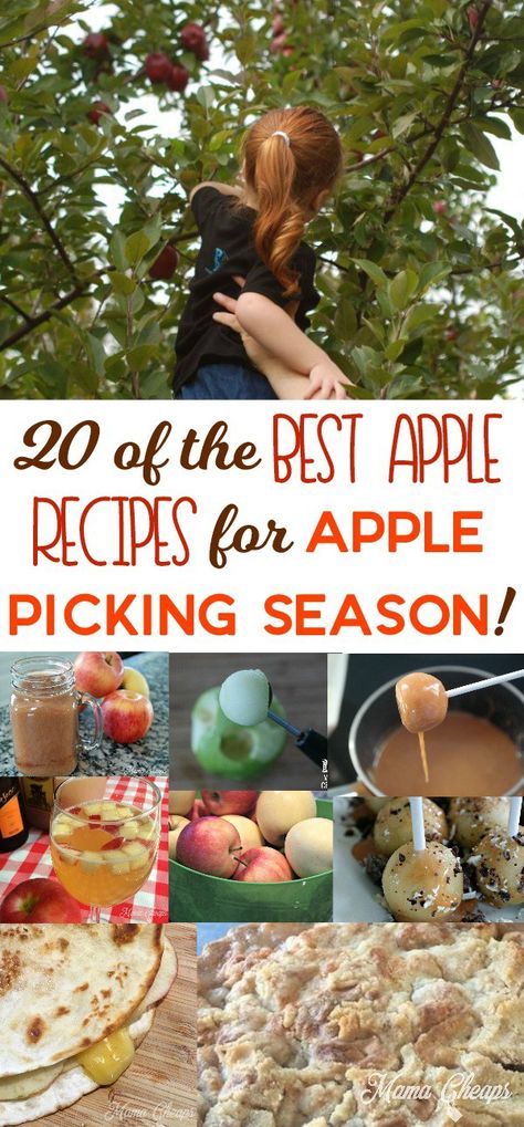 Fresh Picked Apple Recipes, Apple Theme Parties, Apple Spice Cupcakes, Best Apple Recipes, Apple Picking Season, Baked Apple Recipes, Halloween Snack, Apple Cobbler, Fall Snacks