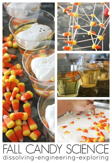 Fall Dissolving Candy Corn STEM Activities Kitchen Science. Build candy corn structures and test out candy corn non-newtonian fluids for science and tactile sensory play! Great Fall and Halloween activity using leftover candy!: Painting Ideas For Kids Easy, Pumpkin Painting Ideas For Kids, Halloween Stem Activities, Candy Science, Science Experience, Early Halloween, Fall Science, Halloween Stem, Painting Ideas For Kids