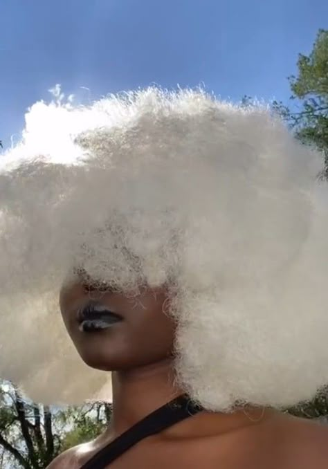 White Hair On Dark Skin, White Afro Hair Black Women, Black Women With White Hair, White Hair Afro, White Hair Curly, White Afro Hair, White Hair Aesthetic, Curly White Hair, White Hair Dark Skin