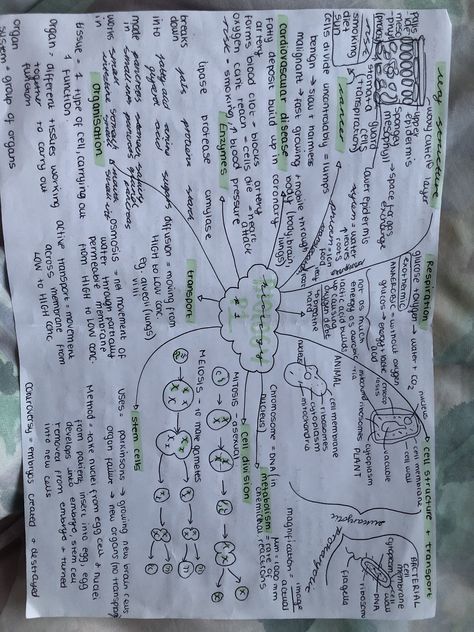 AQA Combined biology - Paper 1 Gcse Biology Paper 1 Revision, Biology Paper 2 Notes, Biology Paper 1 Revision Notes, Gcse Aqa Biology Revision Notes, Biology Revision Gcse Aqa Paper 1, Chemistry Paper 1 Revision, Biology Paper 1 Revision, Revision Gcse, School Revision