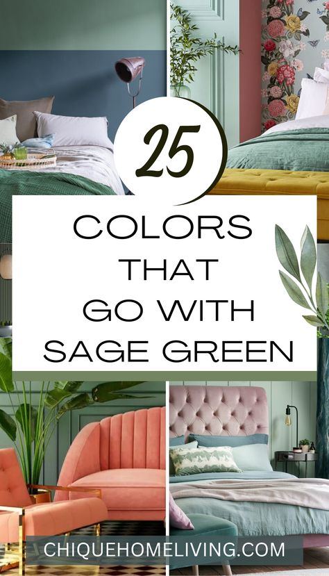 Sage Kitchen Living Room, Simple Home Painting Ideas, Colors That Go With Sage Green Bedding, Colours That Go Well With Sage Green, Complimentary Color Sage Green, Colors That Go Together With Green, Sage Color Decor, Sage Colored Kitchen Walls, What Color Compliments Sage Green