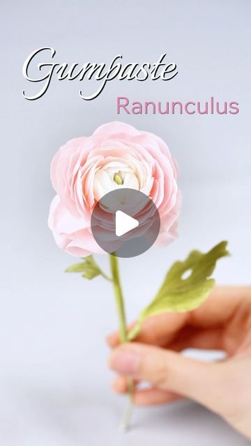 shaniabelle fondant on Instagram: "🌸Gumpaste Ranunculus: realistic flower tutorial This mold kit will give you a perfect finish every time. ✨Shop link in bio Feel free to contact me if you’re interested in this floral mold kit and veiner 💗✨  #floralart #floralgumpaste #bakingsupplies #qelegfondant #tutorial#flowercake #fondant #gumpasteflower #fondantflowers #inspo#tutorial#caketopper #tutorial #foodphotography #foodphotographyandstyling #reelsinstagram #foodgasm #tasty #dessert #video #inspiration #instagood #reels #cakeart #sugarart #cakeideas #LoveCelebration #BeautifulMoments #fondant #fondantcakesph#cutecake" Raniculous Flower, Gumpaste Flowers Tutorial, Gum Paste Flowers Tutorials, Gumpaste Flowers, Tasty Dessert, Video Inspiration, Gum Paste Flowers, Fondant Flowers, Mold Kit