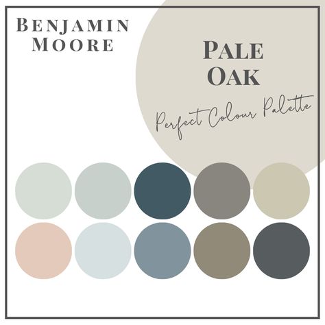 Pale Oak - Perfect Colour Palettes - Claire Jefford Benjamin Moore Paint Colours, Anew Gray, Palladian Blue, Revere Pewter Benjamin Moore, Pale Oak, Accent Wall Colors, Best White Paint, Revere Pewter, Paint Colors Benjamin Moore