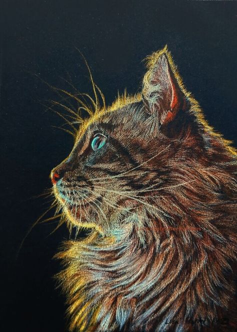 Colored Pencil Cat on Black Paper Colored Pencil Drawing On Black Paper, Coloured Pencil On Black Paper, Prismacolor On Black Paper, Colored Pencils On Black Paper, Sketching On Black Paper, Black Paper Drawing Colored Pencils, Black Paper Art Colored Pencils, Things To Draw On Black Paper, Black Paper Art Ideas