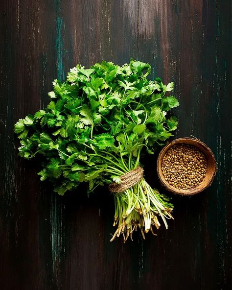 Every part of the coriander plant – from root to leaf – can be used in cooking (Credit: Galina Loginova/Getty Images) Corriander Plant, Wallpaper Plants Aesthetic, Coriander Plant, Indigestion Remedies, Indian Spice Box, Wallpaper Plants, Aesthetic Plant, Tattoo Plant, Aesthetic Plants