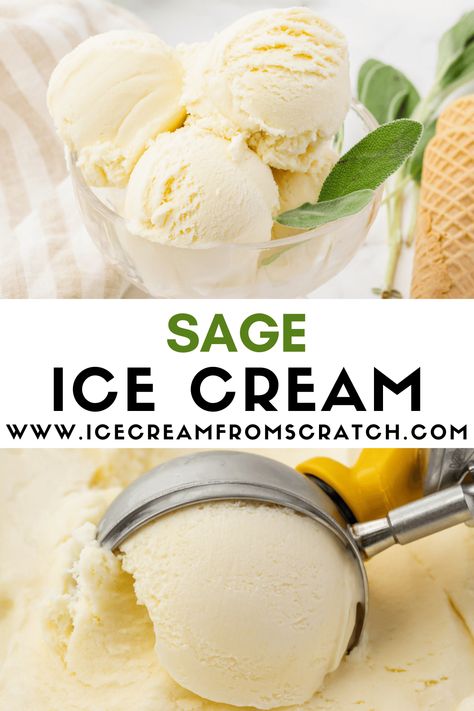 The peppery, earthy, herbaceous flavor of fresh sage is lightly infused into a creamy, sweet, vanilla base in this recipe for homemade Sage Ice Cream. Cake Flavored Ice Cream, Mojito Ice Cream, Sage Ice Cream, Odd Ice Cream Flavors, Savory Ice Cream Recipes, Salt And Straw Ice Cream Recipe, Unique Ice Cream Flavors Recipes, Pear Ice Cream, Ice Cream From Scratch