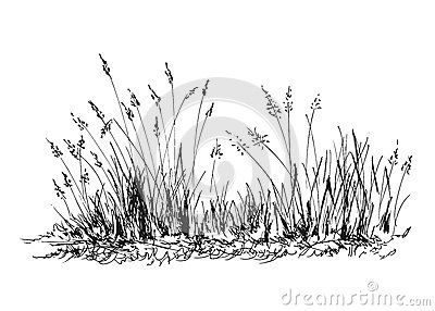 Hand sketch grass Grass Sketch Drawings, Grass Ink Drawing, Grass Pen Drawing, Long Grass Drawing, Grass Field Illustration, Field Drawing Pencil, Grass Field Drawing, Tall Grass Drawing, Farmland Illustration