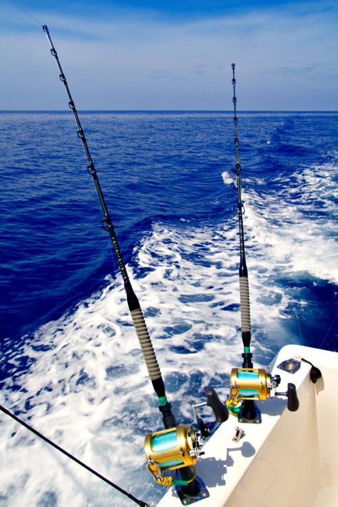 Fishing rods in holders on side of fishing boat for Gulf Coast fishing blog Ice Fishing Gear, Photos Of Fish, Bottom Fishing, Northwest Florida, Gulf Coast Florida, Charter Boat, Fishing Charters, Deep Sea Fishing, Beach Fishing