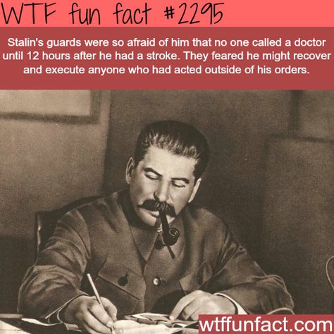 Stalin Quotes, What The Fact, Joseph Stalin, Strange Facts, Wow Facts, Did You Know Facts, Random Facts, Historical Facts, Interesting History