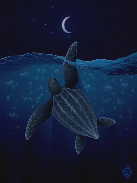 Leatherback sea turtle eating jellyfish under the stars Under The Stars Aesthetic, Tattoo Sea Turtle, The Stars Aesthetic, Turtle Aesthetic, Sea Turtle Images, Summer Ios, Sea Turtle Wallpaper, Turtle Background, Paint Reference