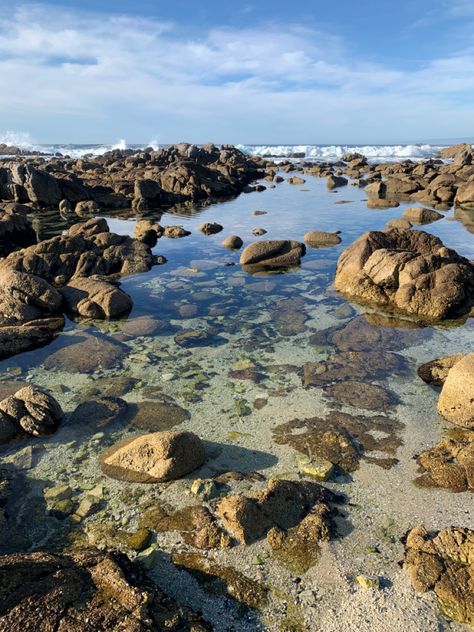 Tide Pools Aesthetic, Tidepool Aesthetic, Tide Pool Aesthetic, Ocean Witch, Beach Jungle, Landscape Reference, Diary Entries, Dream Bigger, Tidal Pool