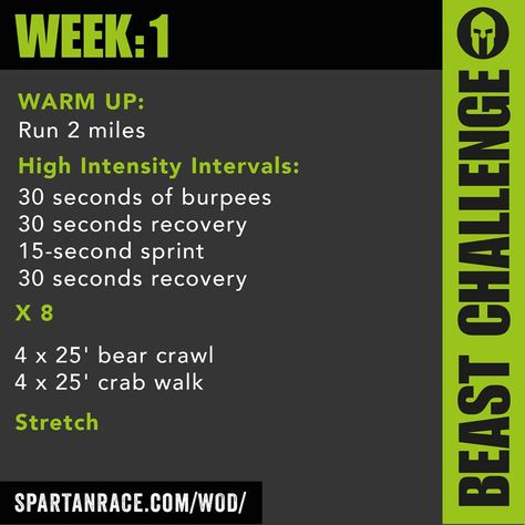 A Spartan race workout!! Possibly Tough Mudder training too? Spartan Challenge, Obstacle Race Training, Tough Mudder Training, Spartan Training, Spartan Workout, Obstacle Course Training, Wods Crossfit, Spartan Race Training, Beast Workout