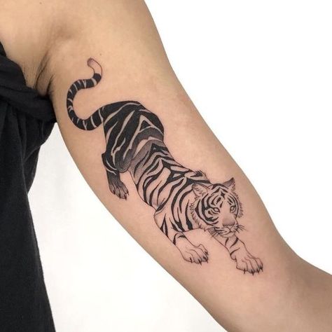 Crouching Tiger Tattoo, Bicep Tattoos, Inner Arm Tattoos, Inner Bicep Tattoo, Crouching Tiger, Bamboo Tattoo, Inner Arm Tattoo, Tiger Tattoo Design, Upper Arm Tattoos