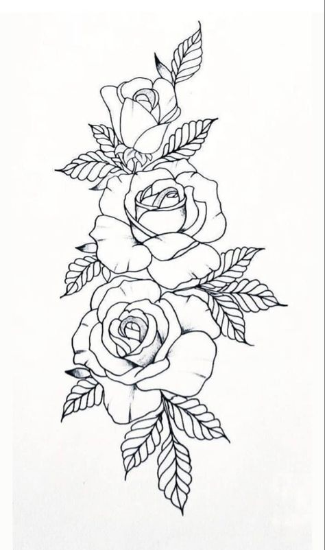 Flower rose drawing with leaves Tattoo Stencil, Tattoo Stencils, Line Drawing, Tattoo Designs, Roses, Black And White, Tattoos, White, Black