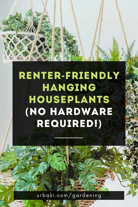 Hanging Plants Apartment Friendly, Hanging Plants Indoor Renter Friendly, Rent Friendly Plant Hanging, Renter Friendly Ways To Hang Plants, Plant Wall Renter Friendly, Tension Rod For Plants, How To Hang Plants Without Drilling, Apartment Friendly Plant Hanging, How To Hang Without Damaging Walls