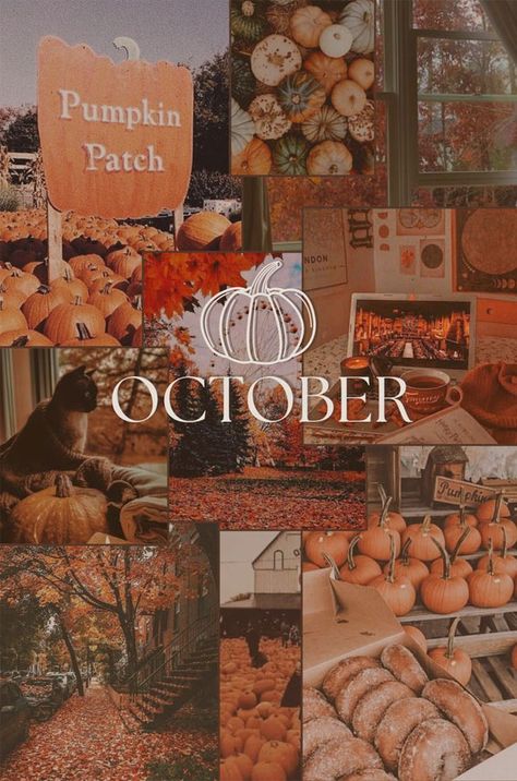 October Collage - This is the perfect fall wallpaper, Autumn Collage, Cozy fall, Fall wallpaper, Fall Collage Wallpaper, Fall Wallpaper iPhone 15, Autumn Collage Wallpaper for phone Aesthetic Thanksgiving, Thanksgiving Aesthetic, Autumn Phone Wallpaper, Napkin Folds, October Wallpaper, Thanksgiving Background, Halloween Wallpaper Iphone Backgrounds, Folding Ideas, Halloween Wallpaper Cute