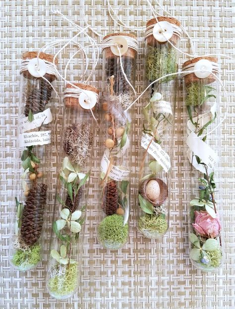 Test Tube Crafts, Acorn Caps, Deco Nature, Witchy Crafts, Altered Bottles, Deco Floral, Noel Christmas, Nature Crafts, Test Tube