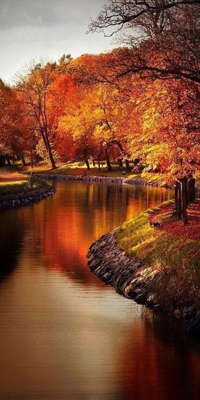 Amazing fall color. Matka Natura, Wallpaper Cantik, Belle Nature, Autumn Scenes, Autumn Scenery, Autumn Beauty, Fall Pictures, Alam Semula Jadi, Fall Foliage