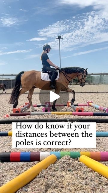 Nina Gill on Instagram: "When doing ‘traditional polework’ which is a line of poles with the same distance in between each one, we are aiming for the horses feet to land in the middle of the space between the poles.
If that distance is too long as seen in this video, the horses feet will land too close to the pole they have just gone over.
If the distance is too short, the horses feet will get too close to the next pole in the line.
There is more information on this subject in the ‘introduction to polework’ section on my app ‘polework patterns’ .
.
.
.
.
#poleworkpatternsapp #poleworkforhorses #poleworkcoach #horsesofinstagram" Too Long, Too Short, The Space, The Line, In The Middle, Just Go, A Line, Horses, Instagram