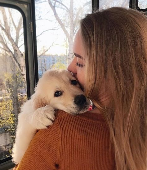 14 Things Only Golden Retriever Owners Will Understand | Page 2 of 5 | PetPress Golden Retriever Accessories, Golden Retriever Girl, Golden Retriever Baby, Golden Retriever Owner, Sarah Cameron, Puppy Photography, Photos With Dog, Golden Puppy, Dog Photoshoot