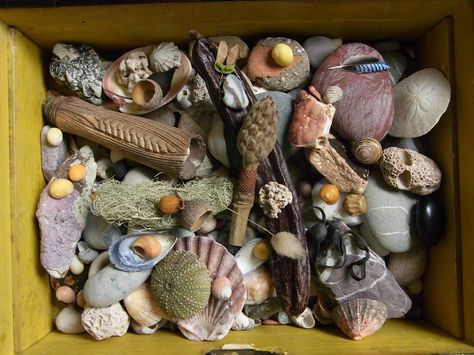 Crow Core, Charm Casting, Vulture Culture, Goblin Core, Nature Table, Nature Collection, Tiny Treasures, Gremlins, The Plan