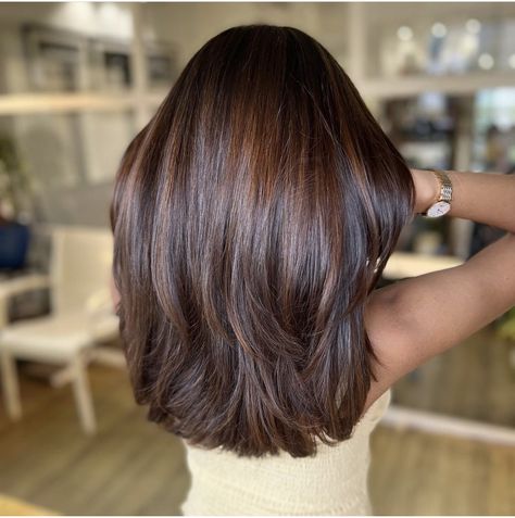 Indian Hair Color, Hair Color For Brown Skin, Warm Brown Hair, Black Hair Balayage, Hair Color Chocolate, Brown Hair Looks, Brown Hair Inspo, Brunette Hair With Highlights, Hairstyles For Layered Hair