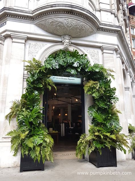 Chelsea in Bloom 2016 - Pumpkin Beth Flower Shop Exterior Store Fronts, Shop Exterior Store Fronts, Flower Shop Exterior, Doorway Arch, Pool Pergola, Rhs Chelsea Flower Show, Store Window Displays, Flower Window, Shop Fronts