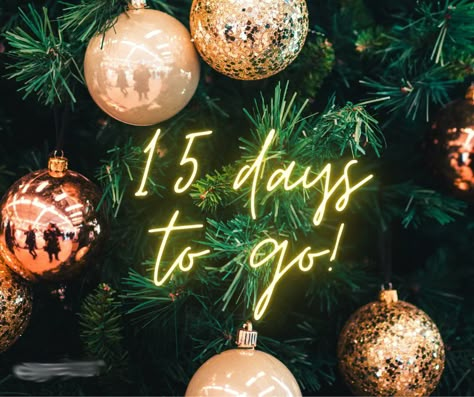 15 Days Left Countdown, 17 Days Until Christmas, 15 Days To Go Countdown Birthday, 15 Days To Go Countdown, Countdown Until Christmas, Weeks Until Christmas, Festival Quotes, Birthday Countdown, Birthday Wishes Flowers