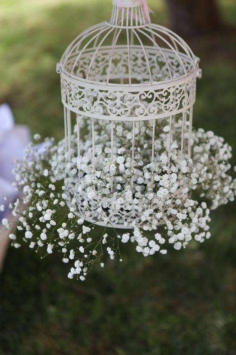 Birdcages Wedding Decor, Birdcage Floral Arrangements, White Bird Cage Decor, Birdcage Decor Ideas Wedding, Birdcage Wedding Centerpieces, Bird Cage Wedding Decor, Birdcage Decor Ideas, Birdcage Centerpiece, Birdcage Decor